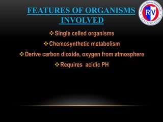 



FEATURES OF ORGANISMS
INVOLVED
 