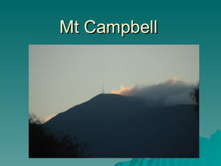 Mt Campbell