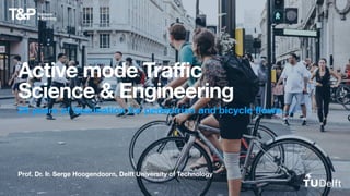 Prof. Dr. Ir. Serge Hoogendoorn, Delft University of Technology
Active mode Traffic
Science & Engineering
25 years of fascination for pedestrian and bicycle flows…
 