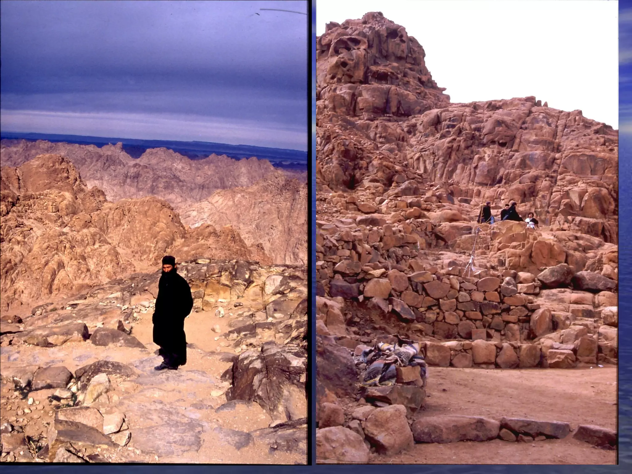 Mt Sinai PPT