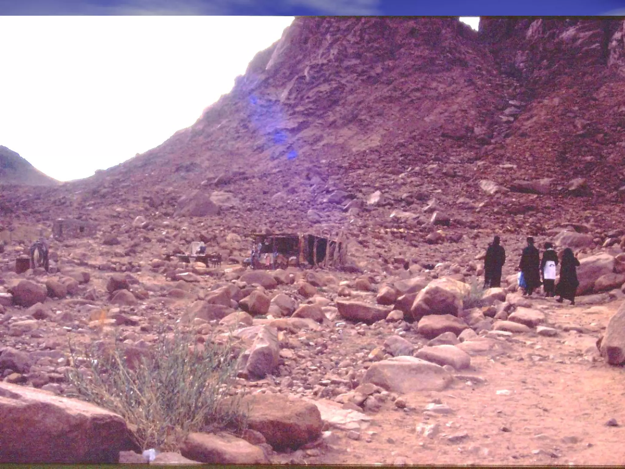 Mt Sinai PPT