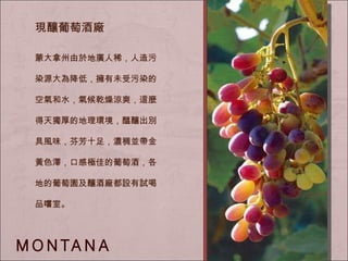 現釀葡萄酒廠 蒙大拿州由於地廣人稀，人造污染源大為降低，擁有未受污染的空氣和水，氣候乾燥涼爽，這麼得天獨厚的地理環境，醞釀出別具風味，芬芳十足，濃稠並帶金黃色澤，口感極佳的葡萄酒，各地的葡萄園及釀酒廠都設有試喝品嚐室。 