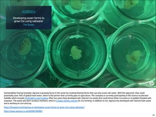 Sustainability Startup Example: Agrisea is growing farms in the ocean by creating floating farms that use only ocean salt water. With this approach, they could
potentially save 70% of global fresh water, which is the portion that currently goes to agriculture. The company is currently participating in life science accelerator
IndieBio which includes $250,000 in seed funding. After two years they developed salt-tolerant rice seeds that could thrive either in oceans or in paddies flooded with
seawater. The seeds also don’t produce methane, which is a major climate concern for rice farming. In addition to rice, Agrisea has developed salt-tolerant kale seeds
and is working on corn and soy.
https://thespoon.tech/agrisea-is-developing-ocean-farms-to-grow-rice-using-saltwater/
https://www.agrisea.co.uk/#HOWITWORKS
29
 