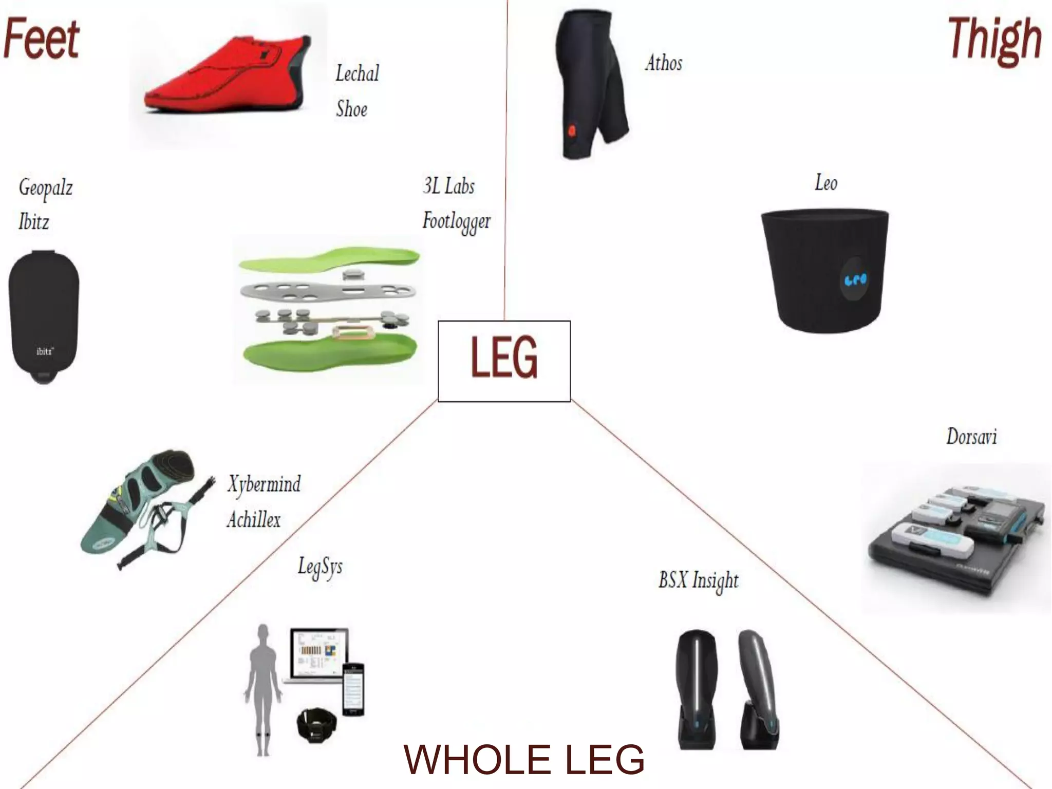 WHOLE LEG
 