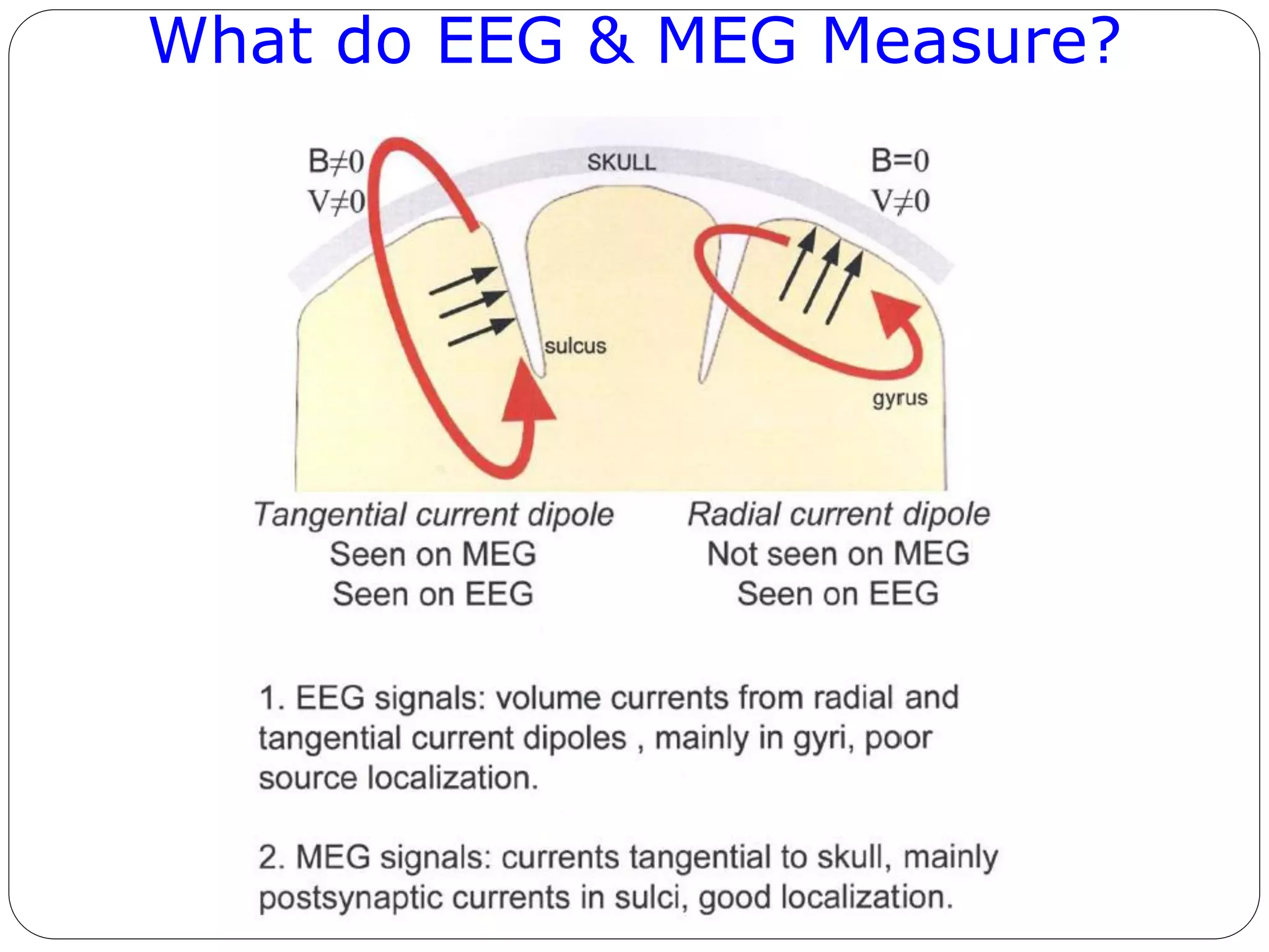 What do EEG & MEG Measure?
 