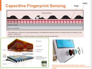 Capacitive Fingerprint Sensing
http://appleinsider.com/articles/13/08/07/apple-inc-gets-its-
fingerprints-on-advanced-touch-sensor-appears-difficult-for-android-
to-copy
Ridge
Valley
 