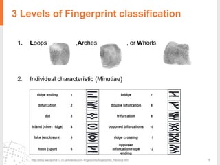 16
3 Levels of Fingerprint classification
1. Loops ,Arches , or Whorls
2. Individual characteristic (Minutiae)
http://shs2.westport.k12.ct.us/forensics/04-fingerprints/fingerprints_handout.htm
 