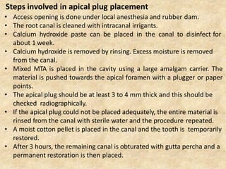 • Access opening is done under local anesthesia and rubber dam.
• The root canal is cleaned with intracanal irrigants.
• Calcium hydroxide paste can be placed in the canal to disinfect for
about 1 week.
• Calcium hydroxide is removed by rinsing. Excess moisture is removed
from the canal.
• Mixed MTA is placed in the cavity using a large amalgam carrier. The
material is pushed towards the apical foramen with a plugger or paper
points.
• The apical plug should be at least 3 to 4 mm thick and this should be
checked radiographically.
• If the apical plug could not be placed adequately, the entire material is
rinsed from the canal with sterile water and the procedure repeated.
• A moist cotton pellet is placed in the canal and the tooth is temporarily
restored.
• After 3 hours, the remaining canal is obturated with gutta percha and a
permanent restoration is then placed.
Steps involved in apical plug placement
 
