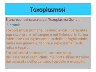 Toxoplasmosi
È una zoonosi causata dal Toxoplasma Gondii.
 Sintomi:
Toxoplasmosi primaria: periodo in cui il
parassita si può riscontrare nel sangue e nei
linfonodi in forma infettante con ingrossamento
delle linfoghiandole, malessere generale,
febbre e ingrossamento di milza e fegato.
Toxoplasmosi secondaria: caratterizzata
dall’assenza di segni clinici ma porta
all’incistazione del parassita nell’organismo
(cervello e muscoli).
 