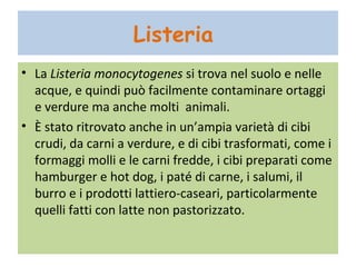 Listeria
   La Listeria monocytogenes si trova nel suolo e
    nelle acque, e quindi può facilmente
    contaminare ortaggi e verdure ma anche molti
    animali.
   È stato ritrovato anche in un’ampia varietà di cibi
    crudi, da carni a verdure, e di cibi trasformati,
    come i formaggi molli e le carni fredde, i cibi
    preparati come hamburger e hot dog, i paté di
    carne, i salumi, il burro e i prodotti lattiero-
    caseari, particolarmente quelli fatti con latte non
    pastorizzato.
 