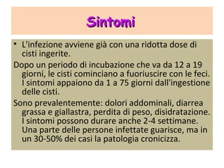 Sintomi
 L'infezione avviene già con una ridotta dose
  di cisti ingerite.
Dopo un periodo di incubazione che va da 12 a
  19 giorni, le cisti cominciano a fuoriuscire con
  le feci. I sintomi appaiono da 1 a 75 giorni
  dall'ingestione delle cisti.
Sono prevalentemente: dolori addominali,
  diarrea grassa e giallastra, perdita di peso,
  disidratazione. I sintomi possono durare
  anche 2-4 settimane. Una parte delle persone
  infettate guarisce, ma in un 30-50% dei casi
  la patologia cronicizza.
 