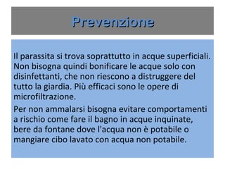 Prevenzione

Il parassita si trova soprattutto in acque
superficiali. Non bisogna quindi bonificare le
acque solo con disinfettanti, che non riescono a
distruggere del tutto la giardia. Più efficaci sono
le opere di microfiltrazione.
Per non ammalarsi bisogna evitare
comportamenti a rischio come fare il bagno in
acque inquinate, bere da fontane dove l'acqua
non è potabile o mangiare cibo lavato con
acqua non potabile.
 