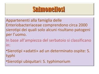 Salmonellosi
Appartenenti alla famiglia delle
Enteriobacteriaceae comprendono circa 2000
sierotipi dei quali solo alcuni risultano patogeni
per l’uomo.
In base all’ampiezza del serbatoio si classificano
in:
•Sierotipi «adatti» ad un determinato ospite: S.
typhi
•Sierotipi ubiquitari: S. typhimorium
 