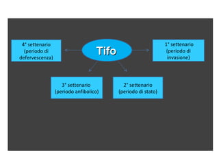4° settenario                                                 1° settenario
  (periodo di
defervescenza)
                                   Tifo                         (periodo di
                                                                invasione)




                    3° settenario           2° settenario
                 (periodo anfibolico)     (periodo di stato)
 
