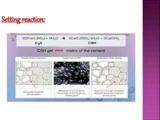 Mta Rsetting Reaction Mta, calcium hydroxide , biodentin | PPTX