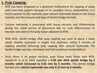 1. Pulp Capping:
• MTA has been proposed as a potential medicament for capping of pulps
with reversible pulpitis because of its excellent tissue compatibility. It is
much superior to the routinely used calcium hydroxide based on the tissue
reaction and the amount and type of dentin bridge formed.
• Calcium hydroxide is associated with tissue necrosis and inflammation
during the initial period of placement but no such inflammation or
necrosis was seen in the pulp tissue adjacent to MTA.
• With MTA, dentin bridge after pulp capping was seen at about 1 week
which steadily increased in length and thickness within 3 months of
capping whereas following pulp capping with calcium hydroxide, the
dentin bridge was less consistent and had numerous tunnel defects.
• Since there is no pulpal necrosis, pulp tissue heals faster with MTA.
Aeinehchi et al in 2003 reported a 0.28 mm thick dentin bridge by 2
months which increased to 0.43 mm by 6 months. The dentin bridge
formed with calcium hydroxide was only 0.15 mm by 6 months.
 