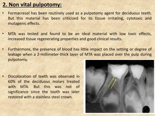 2. Non vital pulpotomy:
• Formacresol has been routinely used as a pulpotomy agent for deciduous teeth.
But this material has been criticized for its tissue irritating, cytotoxic and
mutagenic effects.
• MTA was tested and found to be an ideal material with low toxic effects,
increased tissue regenerating properties and good clinical results.
• Furthermore, the presence of blood has little impact on the setting or degree of
leakage when a 2-millimeter-thick layer of MTA was placed over the pulp during
pulpotomy.
• Discoloration of teeth was observed in
60% of the deciduous molars treated
with MTA. But this was not of
significance since the tooth was later
restored with a stainless steel crown.
 