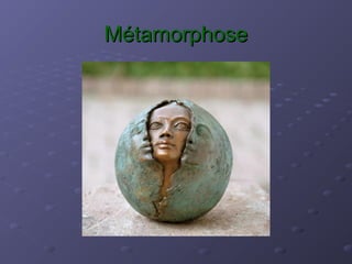 MétamorphoseMétamorphose
 