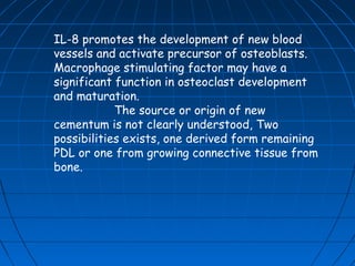 IL-8 promotes the development of new blood
vessels and activate precursor of osteoblasts.
Macrophage stimulating factor may have a
significant function in osteoclast development
and maturation.
            The source or origin of new
cementum is not clearly understood, Two
possibilities exists, one derived form remaining
PDL or one from growing connective tissue from
bone.
 