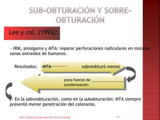 Lee y col. (1993):

- IRM, amalgama y MTA: reparar perforaciones radiculares en molares
sanos extraídos de humanos.

  Resultados:        MTA                     sobreobturó menos

                                    poca fuerza de
                                    condensación


 - En la sobreobturación, como en la subobturación: MTA siempre
presentó menor penetración del colorante.

    UNFV ODONTOLOGIA- NESTOR TAFUR CHAVEZ                   21
 