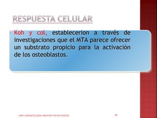    Koh y col, establecerion a través de
    investigaciones que el MTA parece ofrecer
    un substrato propicio para la activación
    de los osteoblastos.




     UNFV ODONTOLOGIA- NESTOR TAFUR CHAVEZ   25
 