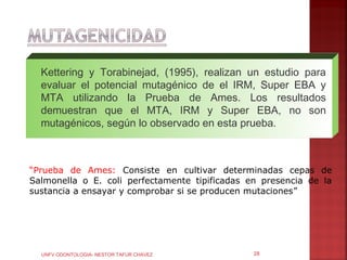 Kettering y Torabinejad, (1995), realizan un estudio para
  evaluar el potencial mutagénico de el IRM, Super EBA y
  MTA utilizando la Prueba de Ames. Los resultados
  demuestran que el MTA, IRM y Super EBA, no son
  mutagénicos, según lo observado en esta prueba.



“Prueba de Ames: Consiste en cultivar determinadas cepas de
Salmonella o E. coli perfectamente tipificadas en presencia de la
sustancia a ensayar y comprobar si se producen mutaciones”




  UNFV ODONTOLOGIA- NESTOR TAFUR CHAVEZ         28
 