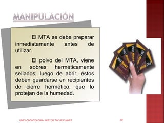 El MTA se debe preparar
inmediatamente      antes   de
utilizar.
       El polvo del MTA, viene
en    sobres     herméticamente
sellados; luego de abrir, éstos
deben guardarse en recipientes
de cierre hermético, que lo
protejan de la humedad.



 UNFV ODONTOLOGIA- NESTOR TAFUR CHAVEZ   30
 