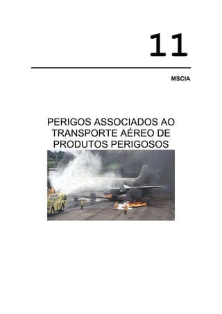 11
                    MSCIA




PERIGOS ASSOCIADOS AO
 TRANSPORTE AÉREO DE
 PRODUTOS PERIGOSOS
 