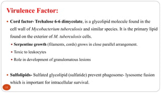 Virulence Factor:
13
 Cord factor- Trehalose 6-6 dimycolate, is a glycolipid molecule found in the
cell wall of Mycobacterium tuberculosis and similar species. It is the primary lipid
found on the exterior of M. tuberculosis cells.
 Serpentine growth (filaments, cords) grows in close parallel arrangement.
 Toxic to leukocytes
 Role in development of granulomatous lesions
 Sulfolipids- Sulfated glycolipid (sulfatide) prevent phagosome- lysosome fusion
which is important for intracellular survival.
 