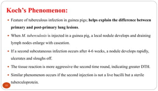 Koch’s Phenomenon:
15
 Feature of tuberculous infection in guinea pigs; helps explain the difference between
primary and post-primary lung lesions.
 When M. tuberculosis is injected in a guinea pig, a local nodule develops and draining
lymph nodes enlarge with caseation.
 If a second subcutaneous infection occurs after 4-6 weeks, a nodule develops rapidly,
ulcerates and sloughs off.
 The tissue reaction is more aggressive the second time round, indicating greater DTH.
 Similar phenomenon occurs if the second injection is not a live bacilli but a sterile
tuberculoprotein.
 