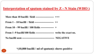 Interpretation of sputum stained by Z - N Stain (WHO )
More than 10 bacilli / field --------------------- +++
From 1 – 10 bacilli / field ---------------------- ++
From 10 – 99 bacilli / 100 fields --------------- +
From 1 -9 bacilli/100 fields --------------------- write the exact no.
No bacilli seen ------------------------------------- NEGATIVE
*(10,000 bacilli / ml of sputum): shows positive
28
 