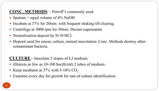 CONC. METHODS: - Petroff’s commonly used.
 Sputum + equal volume of 4% NaOH
 Incubate at 37oc for 20min. with frequent shaking till clearing.
 Centrifuge at 3000 rpm for 30min. Decant supernatant.
 Neutralization deposit by N/10 HCl.
 Deposit used for smear, culture, animal inoculation. Conc. Methods destroy other
contaminant bacteria.
CULTURE:- Inoculate 2 slopes of LJ medium.
 (Detects as few as 10-100 bacilli/ml) 2 tubes of medium.
 Keep incubator at 37oc with 5-10% CO2
 Examine every day for growth for rate of culture identification.
29
 
