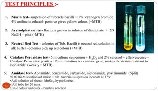 TEST PRINCIPLES :-
1. Niacin test- suspension of tubercle bacilli +10% cyanogen bromide
4% aniline in ethanol- positive gives yellow colour. (+MTB)
2. Arylsulphatase test- Bacteria grown in solution of disulphate + 2N
NaOH – pink (-MTB)
3. Neutral Red Test – colonies of Tub. Bacilli in neutral red solution in
alk buffer –colonies pick up red colour (+MTB)
4. Catalase Peroxidase test- 5ml culture suspension + H2O2 and 2% catechol – effervescence -
Catalase Peroxidase positive. Point mutation is a catalase gene, makes the strains resistant to
isoniazide. (weakly + MTB)
5. Amidase test- Acetamide, benzamide, carbamide, nictonamide, pyrizinamide. (Split)
•0.00164M solutions of amide + tub. bacterial suspension incubate at 37oc.
•Add solution of phenol, MnSo4, hypochlorite.
•Boil tube for 20 mins.
•Blue colour indicates – Positive reaction
32
 