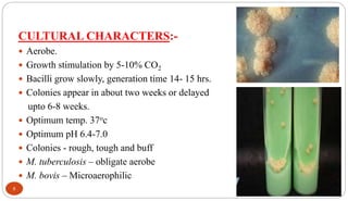 CULTURAL CHARACTERS:-
 Aerobe.
 Growth stimulation by 5-10% CO2
 Bacilli grow slowly, generation time 14- 15 hrs.
 Colonies appear in about two weeks or delayed
upto 6-8 weeks.
 Optimum temp. 37oc
 Optimum pH 6.4-7.0
 Colonies - rough, tough and buff
 M. tuberculosis – obligate aerobe
 M. bovis – Microaerophilic
8
 