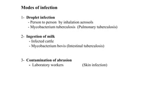 Modes of infection
1- Droplet infection
- Person to person by inhalation aerosols
- Mycobacterium tuberculosis (Pulmonary tuberculosis)
2- Ingestion of milk
- Infected cattle
- Mycobacterium bovis (Intestinal tuberculosis)
3- Contamination of abrasion
- Laboratory workers (Skin infection)
 