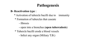 Pathogenesis
B- Reactivation type :
* Activation of tubercle bacilli due to immunity
* Formation of tubercles that caseate
- fibrosis
- open into a bronchus (open tuberculosis)
* Tubercle bacilli erode a blood vessels
- Infect any organ (Miliary T.B.)
 