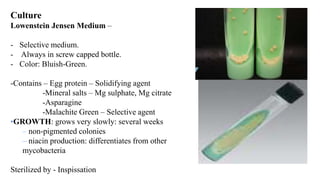 Culture
Lowenstein Jensen Medium –
- Selective medium.
- Always in screw capped bottle.
- Color: Bluish-Green.
-Contains – Egg protein – Solidifying agent
-Mineral salts – Mg sulphate, Mg citrate
-Asparagine
-Malachite Green – Selective agent
•GROWTH: grows very slowly: several weeks
– non-pigmented colonies
– niacin production: differentiates from other
mycobacteria
Sterilized by - Inspissation
 