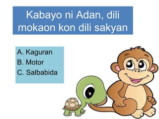 Kabayo ni Adan, dili
mokaon kon dili sakyan
A. Kaguran
B. Motor
C. Salbabida
 