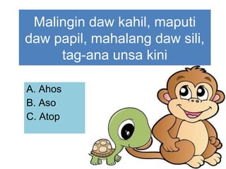 A. Ahos
B. Aso
C. Atop
Malingin daw kahil, maputi
daw papil, mahalang daw sili,
tag-ana unsa kini
 