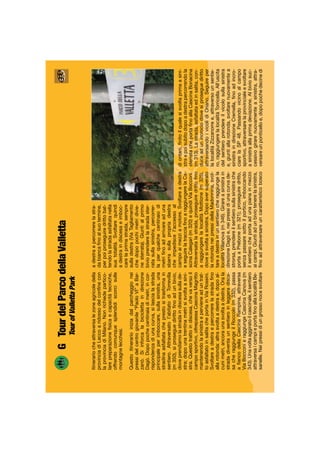 GTourdelParcodellaValletta
TourofVallettaPark
Itinerariocheattraversalezoneagricoledella
provinciadiLeccoaridossodelconﬁnecon
laprovinciadiMilano.Nonrichiedepartico-
larepreparazioneﬁsicaecapacitàtecniche,
offrendocomunquesplendidiscorcisulle
montagnelecchesi.
Questoitinerarioiniziadalparcheggionei
pressidelcentrogiovanile“PaoloVI”aBar-
zanò.Siinforcalabiciclettaindirezione
Dagò.Dopopochecentinaiadimetri,incor-
rispondenzadiunacurva,silascialastrada
principaleperimboccare,sullasinistra,una
stradinaasfaltatacheprestositrasformain
sentiero.Attraversatol’abitatodiTorrevilla
(m350),siproseguedirittoﬁnoadunbivio,
doveprendiamolastradaindiscesasullade-
stra;dopounatrentinametrisisvoltaasini-
stra.Questotrattoindiscesa,chevaversoil
camposportivo,oltrepassaCascinaMagritto
mantenendolasinistraepervieneaduntrat-
toasfaltatoinsalitacheportainViaRossini.
Svoltareadestraepercorrerelastradaﬁno
allarotonda:altrasvoltaadestrae,dopoal-
cunimetri,ancoraunasvoltaadestra.Orala
stradadiventaunsentieroinleggeradisce-
sacheraggiungeilRoccolo(m332),passa
aﬁancodellaCascinaRampina,attraversa
ViaBocconieraggiungeCascinaCanova(m
343).Unavoltaaggiratoilcascinale,ilsentiero
attraversaicampieportaﬁnoallalocalitàBe-
sanelle.Neipressidiungrossonocesvoltare
diontani,ﬁnitoilqualesisvoltaprimaasini-
straepoisubitodopoadestrapercorrendola
sterratacheportaﬁnoallaCascinaBonacina
(m313).Lastrada,asfaltataedinsalita,con-
duceadunincrociodovesiproseguediritto
attraversandoivicolidiOriano.Seguireper
lalocalitàZizzanorree,attraversounsentie-
ro,raggiungerelalocalitàTorricella.All’uscita
delsentieroprendereilvicolosullasinistra
e,giuntiallarotonda,svoltarenuovamentea
sinistraindirezioneCremella,ﬁnoadincro-
ciarelaSP48.Passandovicinoalcampo
sportivo,attraversarelaprovincialeesvoltare
asinistraallaprimadeviazione.Albiviosuc-
cessivogirarenuovamenteasinistra,attra-
versareunponticelloe,dopopochedecinedi
adestraepercorrerelastra-
dabiancaﬁnoalsuotermine,
perpoiproseguiredrittobat-
tendolastradaasfaltatanella
suatotalità.Svoltarequindi
adestraindiscesaeimboc-
carelaprimastrada,sempre
sulladestra(ViaTagliamento
chedopopochimetridivie-
nesterrata).Giuntialprimo
bivioprenderelastradaster-
ratasullasinistra,percorrer-
laperqualchecentinaiodi
metriﬁnoadarrivareaduna
sbarrasullapropriadestra
cheimpediscel’accessoal
campoaimezziamotore.Svoltareadestra
eseguirelatracciaﬁnoaraggiungerelaCa-
scinaCalegari(m320)equindiViaBocconi.
Attraversatalastrada,proseguiredrittoﬁno
araggiungerelalocalitàMottione(m325),
dovesisvoltaasinistra.Dopoaversuperato
larotondaneipressidellaMadonnina,svol-
tareadestrainunsentierocheraggiungela
localitàVillanova(m346).Girareasinistrain
direzioneDagòe,neipressidiunacurvade-
strorsa,prendereilsentierosullasinistrache
portaaPrebone(m321);proseguiredritto,
senzapassaresottoilportico,imboccando
ilsentierocheportaadunapianainmezzo
aicampi.Giuntiadunbiviotenerelasinistra,
ﬁnoadattraversareuncaratteristicobosco
 