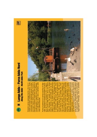 HLungoAdda-ParcoAddaNord
AlongtheAdda-NorthAddaPark
Itinerariosenzapassaggitecnici,chenonri-
chiedeparticolarepreparazioneﬁsica,risulta
comunquemoltopiacevolepoichésisvilup-
palungol’arginedestrodell’Adda.Duranteil
percorsosipossonoosservarevariespeciedi
uccelliacquatici,magniﬁciscorcisulResego-
neesulleGrignedaunlatoe,dall’altro,sulle
verdicollinebrianzole.
PuntodipartenzaèilcamposportivodiOlgi-
nate.Scenderelastradaprincipaleﬁnoall’ar-
ginedelﬁumeeproseguiresinoaraggiun-
gereilpontedellaferrovia,doveunasbarra
vietal’accesso.Daquestopuntolastrada
diventasterrataepercorribilesolodabici-
cletteepedoni.Èsubitopossibileammirare
labellezzadelleGrigneedelResegoneche
sispecchianonelleacquedell’Adda.Dopo
avercosteggiatoalcunicampidigranoturco
arriviamoalpaesediBrivio(m196),nelcui
centrostoricosiergeuncastelloche,insie-
meaquellidiLecco,TrezzoeCassano,co-
stituivapartedelsistemadifensivodell’Adda.
Passaresottoilpontechecollegalasponda
leccheseconquellabergamascaeprose-
guire,peralcunecentinaiadimetrisustrada
asfaltata;successivamentelastradatornaad
esseresterrataechiusaaltrafﬁco.Immersi
nelverdesiprosegueapedalareseguendole
ansedelﬁume,frequentatedamoltespecie
divolatiliacquatici.Dopoqualchechilometro
raggiungiamoImbersago,doveèpossibile
 