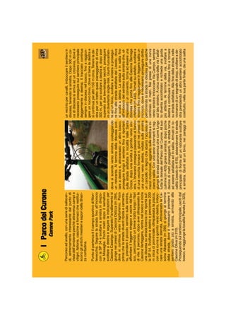 IParcodelCurone
CuronePark
Percorsoadanello,conunaseriedisaliscen-
di,estremamenteinteressantedalpuntodi
vistadell’ambienteperchéattraversacampie
vitigni,fattorie,cascineefornacicherestitui-
sconogliantichimestieriesaporidellaBrian-
zacontadina.
PuntodipartenzaèilcamposportivodiMon-
tevecchia.Seguirelastradaﬁnoall’incrocio
conlaSP54esvoltareasinistraindirezio-
neMissaglia.Pochimetridopoilsemaforo
svoltareadestraeseguireleindicazioniper
CascinaCasarigo.Superatol’avvallamentosi
giungeneipressidiCascinaOstizza(m284),
dovesicontinuaversol’agriturismo.Poco
primachelastradadiventiripidaecementa-
ta,prendereilpiccolosentierosullasinistra,
affrontareilleggerostrappoeusciredalbo-
sco,percorrendounbrevetrattolungoiﬁlari
divite.Ilpercorso,dopoaveroltrepassatola
CascinaVertaggera,rientranelboscoeinizia
unadiscesasustradabiancacheriportasul-
laSP54.Svoltareadestraepercorrere200
mcircadiprovinciale;oltrepassatalapiazza,
conunacurvaagomitoversodestra,imboc-
careunastradasterrata.AttraversatalaCa-
scinaAlbareda(m295)sigiungealtermine
dellastrada,doveènecessarioprendereil
sentieropostopiùasinistra,arrivandoalla
CascinaOliva(m310).
Proseguendosulsentieroprincipale,uscitidal
bosco,siraggiungelalocalitàPianeta(m323),
dovesiscendeversosinistracosteggiando
unristorante.Alterminedelladiscesasvol-
tareadestrae,attraversatounaltrobosco,
proseguirelungoilsentieroﬁnoariportarci
sullastradaasfaltatainlocalitàValleSanta
Croce,dopounasvoltaagomitoversosini-
stra.L’itinerarioproseguepassandoalﬁanco
diunavecchiafornacee,giuntineipressidi
unacurvaversodestra,notatosullasinistra
uncancelloinlegnochesbarral’accessoai
mezzimotorizzati,aggirarlosulladestraeini-
ziarelasalita.Conunaserieditornantisirag-
giungelastradapanoramicachecorrelungo
tuttaladorsaledelParcodelCurone.Alsuo
culmine(m420)girareasinistra:dopopoche
decinedimetripianeggianti,lastradatorna
adessereasfaltataedinsalita.Arrivatiinlo-
calitàLissolo(m615),abbandonarelastrada
principale:difronteadunristorantesvoltare
asinistra.Giuntiadunbivio,neiparaggidi
unrecintopercavalli,imboccareilsentieroin
discesa,tenendolasinistra.Dopo300mcir-
cadidiscesasiarrivaaduncrocevia,doveè
necessarioproseguiresulsentieroprincipale
(leggermenteadestra).Iltracciatocontinua
sempreindiscesanelbosco,ﬁnoaraggiun-
gereunnuovobivio,dovesitieneladestrae
sicontinuaperaltri150mcirca.Tenerelade-
straperuntrattoquasipianeggiantedicirca
300m,perpoisvoltareadestrae,dopoaver
superatoduebrevistrappisecchi,proseguire
inundivertentesingle-trek.Giuntinuovamen-
teadunbivio,svoltareasinistraeprosegui-
reﬁnoallastradaasfaltatadelLissolo,dove
sisvoltaadestra.Lastradaèinsalitaﬁno
all’imboccodelsentierosullasinistrache,ol-
trepassatounconvento,tornaadessereuna
discesacheportaﬁnoallaCascinaBernaga
inferiore(m440).Tornatisuasfalto,svoltarea
sinistraﬁnoaraggiungereinleggerasalitaun
incrocio,doveènecessarioproseguirediritto
percorrendolastradaindiscesaperqualche
centinaiodimetri.Neipressidiunacurva
versosinistraimboccareViaCampo,sempre
sullatosinistro.Acircametàdellavial’asfal-
todiventaacciottolatoerichiedeunaguida
piùattenta.Alterminedellavia,svoltarea
destraecontinuareindiscesaﬁnoatornare
sustradaasfaltata.Allaﬁnedellastrada,nelle
vicinanzediunsegnaledistop,svoltareade-
straprendendounaltrosentieroacciottolato
costituito,nellasuaparteﬁnale,daunasalita
 