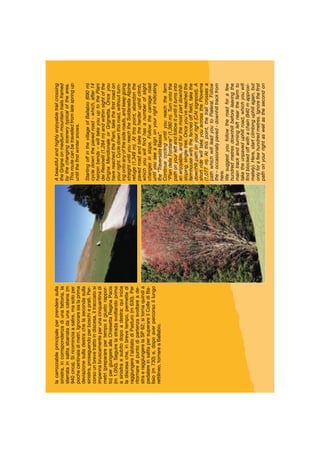 Abeautifulandhighlyenjoyabletrailcrossing
theGrigneonmediummountaintrailsframed
bythechangingscenerytypicalofthearea.
Thisroutecanbetravelledfromlatespringup
untiltheﬁrstwintersnows.
StartingoffinthevillageofBallabio(690m)
cycledownthepavedroad-which,after14
hairpinbends–willtakeyouuptothePiani
deiResinelli(1,284m)andwithinsightofthe
GrignaMeridionaleorGrignetta.Onceyou
havereachedthePiani,taketheﬁrstroadon
yourright.Cycledownthisroad,withoutturn-
ingontoanyofthesideroads,andkeepgoing
straightuntilyoureachtheSoldanellaAlpine
refuge(1,349m).Atthispoint,abandonthe
pavedroadandtaketheharderuphillclimb,
whichyouwillﬁndhasanumberofslight
changesinslope.Followthecarriageroad
untilyouseeasignonyourrightindicating
the“TraversataBassa”.
Continuecyclinguntilyoureachthefarm
“PiandelleFontane”(1,380m).Turnontothe
pathonyourleftandfollowituntilitturnsinto
anenjoyable,andforthemostpartdownhill-
sloping,single-trek.Onceyou’vereachedthe
farmhousewiththefencedoffﬁeld,takethe
downhillpathonyourright(CAIsignpost).A
shortridewilltakeyouacrossthePioverna
(1,077m).Atthispoint,thetrailcrossesa
pathwhichwillleadyoutoPialeral.Follow
the–occasionallypaved-downhilltrackfrom
here.
Wesuggestyoufollowtheroadforafew
hundredmetresdownhillbeforeleavingthe
maintrackandturningleftnearthefarmto
taketheunpaveduphillroad,whichyouwill
ﬁndblockedoffwithachain(940mapproxi-
mately).Here,startclimbinguphillagain,but
onlyforafewhundredmetres.Ignoretheﬁrst
pathonyourrightaswellasthesecondon
lacarrozzabileprincipaleperprenderesulla
sinistra,incorrispondenzadiunafattoria,la
sterratainsalitasbarratadaunacatena(m
940circa).Siricominciaasalire,masoloper
pochecentinaiadimetri.Ignoraresialaprima
deviazionesulladestrachelasecondasulla
sinistra,proseguendoperboschieprati.Per-
corsounbrevetrattoindiscesa,iltracciatosi
impennabruscamenteperunacinquantinadi
metri(prepararepertempoilgiustorappor-
to)pergiungereallaChiesettaReginaPacis
(m1.050).Seguirelastradasvoltandoprima
asinistraesubitodopoadestra:quiinizia
ladiscesache,inbrevetempo,permettedi
raggiungerel’abitatodiPasturo(m630).Per
ritornarealpuntodipartenzasvoltareade-
straeraggiungerelaSP62;sitornaquindia
pedalareinsalitapersuperareilCollediBa-
lisio(m730)e,dopoaverpercorsoillungo
rettilineo,tornareaBallabio.
 