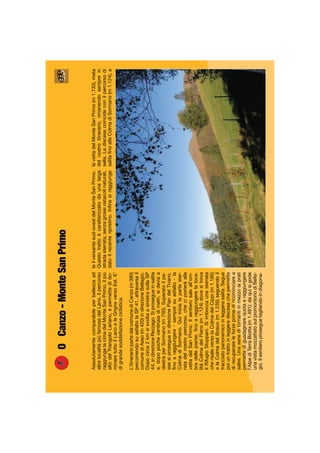 OCanzo-MonteSanPrimo
Assolutamentecomparabileperbellezzaad
altrelocalitàpiùfamosedelLario,ilpercorso
raggiungelacimadelMonteSanPrimo,ilpiù
altodelTriangoloLariano,epermettedido-
minaretuttoilLarioeleGrigneversoEst.E’
digrandesoddisfazioneciclistica.
L’itinerariopartedalcomunediCanzo(m390)
percorrendosuasfaltolaSP41,attraversail
comunediAsso(m420)indirezioneBellagio.
Dopocirca2kmsisvoltaasinistrasullaSP
44,indirezioneRezzago.Siprosegueinsalita
e,dopopochecentinaiadimetri,sidevìaa
destraperSormano(m750).Superatoilpa-
esesiprosegueindirezionePiandelTivano,
ﬁnoaraggiungere-sempresuasfalto-la
ColmadiSormano.Quiinizialapartester-
ratadelnostropercorso,checiporteràalla
vettadelSanPrimo.Ilsentierosaleall’om-
bradellepiante,ﬁnoaraggiungerelaloca-
litàColmadelPiano(m1.124)dovesitrova
ilRifugioStoppani.Siimboccaunasterrata
cherisaleversolaColmadeiCippi(m1.185)
elaColmadelBosco(m1.235)seguendoil
tracciatopanoramicoinleggerasalita.Segue
poiuntrattoinleggeradiscesachepermette
direcuperareleforzeprimadiricominciarea
salire.Unaserieditornantiinmezzoaiprati
permettediguadagnarequotaeraggiungere
l’AlpediTerraBiotta(m1.481):daquisigode
unavistamozzaﬁatosulpromontoriodiBella-
gio.Ilsentieroproseguetagliandoindiagona-
leilversantesud-ovestdelMonteSanPrimo.
Questotrattoècaratterizzatodaunalarga
stradasterrata,senzagrossiostacolinaturali,
datoilrecenteripristino.Inﬁnesiraggiunge
lavettadelMonteSanPrimo(m1.733),meta
delnostroitinerario,rimanendosemprein
sella.Ladiscesacoincideconilpercorsodi
salitaﬁnoallaColmadiSormano(m1.124),a
 