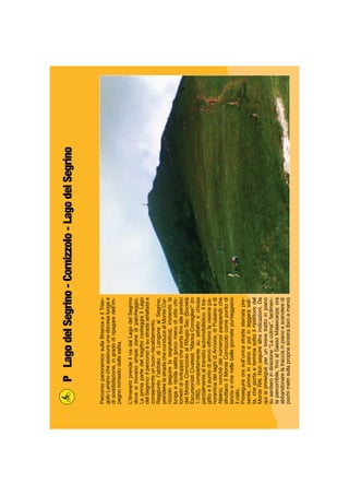 PercorsopanoramicosullaBrianzaeilTrian-
goloLarianocheassicuraunadiscesalungae
disoddisfazione,ingradodiripagaredell’im-
pegnorichiestodallasalita.
L’itinerarioprendeilviadalLagodelSegrino
dovesitrovanoampiezonediparcheggio.
LaprimapartedeltragittocosteggiailLago
delSegrino:ilpercorsoèsustradaasfaltatae
consententeunbuonriscaldamento.
Raggiuntol’abitatodiLongonealSegrino,
prenderelastradacheconducealMonteCor-
nizzolo(seguirelasegnaletica),iniziandola
lungaeripidasalita(pocomenodiottochi-
lometridisviluppo)cheportaﬁnoallependici
delMonteCornizzoloalRifugioSec(Società
EscursionistiCivatesi)“MarisaConsiglieri”(m
1.092),completamentesuasfaltoechiusa
parzialmentealtransitoautomobilistico.Iltra-
gittoeilpuntodiarrivooffronolavisionepa-
noramicadeilaghidiAnnone,diPusianoedi
Alserio,nonchédeinumerosiparapendiiche
sfruttanoilMonteCornizzolocomepuntodi
lancioechenellebellegiornatepunteggiano
ilcielo.
Proseguireorasull’unicastradasterratapre-
sente,primainpianoepoiinleggerasali-
ta,cheportaeterminasottoilripetitoredel
MonteRAI.Nonseguirealtreindicazioni.Da
quisiprosegueperunbrevetrattoinpiano
susentieroindirezione“Lacolma”,facilmen-
tepercorribile,ﬁnoalSassoMalascarpa;ora
abbandonarelatracciainpianoescenderedi
pochimetrisullapropriasinistra(biciamano)
PLagodelSegrino-Cornizzolo-LagodelSegrino
 