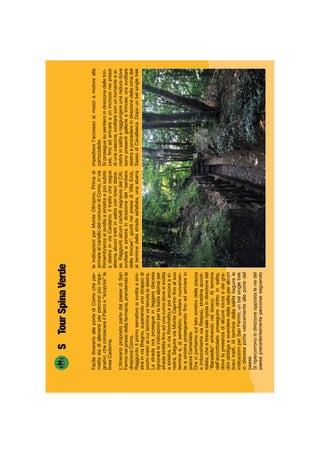 FacileitinerarioalleportediComocheper-
mettesiadiallenarsiperpercorsipiùimpe-
gnativi,checonoscereilParcoe“scoprire”la
lineaCadorna.
L’itinerariopropostopartedalpaesediSan
Fermoneipressidellafarmacia,prendendola
direzioneComo.
Raggiuntoilprimosemaforosisvoltaasini-
strainviaBregno,superandounostrappodi
pochimetrialcuiterminevatenutaladestra.
Lastradaoraprosegueinleggeradiscesa
(ignorareleindicazioniperlabaitaalpina)per
stradastrettaﬁnoadunacurvadovesisvolta
asinistra,inviaRonchetto,epoiancoraasi-
nistra.SeguireviaMonteCaprinoﬁnoalsuo
terminee,alsemaforo,svoltarenuovamen-
teasinistraproseguendoﬁnoadarrivarein
piazzaCamerlata.
Oraciportiamosullatosinistrodellapiazza
eimbocchiamoviaRespaù,stradinaacciot-
tolata,cheabrevesaleripidaindirezionedel
“Baradello”entrandonelbosco.Altermine
dell’acciottolatoproseguiredrittoinsalita,
dovelapresenzadialcunerocceedeigra-
diniobbligaascenderedallasellaperalcuni
brevitratti.Alterminedellasalitaseguirele
indicazioniperSanFermo;unbelsingletrek
indiscesaportavelocementealleportedel
paese.
Siripercorronoindirezioneoppostaleviedel
paeseprecedentementepercorseseguendo
leindicazioniperMonteOlimpino.Primadi
arrivarealcartellodelcomunediComo,invia
Rimembranzasisvoltaasinistraepoisubito
adestrainviaCardano;iltrattochesegue
alternaalcunitrattiinsalitaconbrevidisce-
se.RaggiuntialcunicartellisegnaviadelCAI,
svoltareasinistraindirezionedel“sentiero
delletrincee”;giuntineipressidiVillaEros,
alterminedellastradaasfaltata,unasbarra
impediscel’accessoaimezziamotorealla
carrozzabile.
Siproseguesusentieroindirezionedelletrin-
cee,ﬁnoadarrivareaunincrocioneipressi
diunacascina;svoltareconuntornanteasi-
nistrainsalitaeraggiungereunaraduradove
sonopresentigallerieetrincee;orasvoltare
destraeprocedereindirezionedellacimadel
SassodiCavallasca.Dopounbelsingletrek
STourSpinaVerde
 