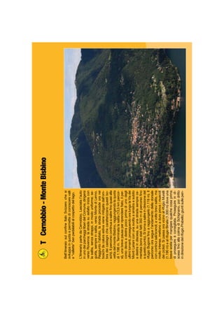 Bell’itineraiosulconﬁneItaloSvizzerochesi
sviluppainquotaepermettediconoscerevalli
e“vallette”benpedalabilialcospettodellago.
L’itinerariopartedaCernobbio.Lasciatal’auto
inunodeiparcheggiliberidelComune,dirigersi
versoRovenna:lastradasuasfaltoiniziacon
lasalita,senzastrappi,inmodouniforme;se-
guirla,sempreinsalita,versoMontediLenno.
Raggiuntol’abitato,lastradaprocedeoranei
boschi(lacaluraestivavienemitigatadall’om-
bradeicastagnichecaratterizzanoquestibo-
schi).Ilpercorsocontinuaasalireﬁnoquasialla
vettadelmonteBisbino,raggiungendolaquota
di1.198m.Terminatalasalita(13,5kmpercor-
si),unabrevepausaperriprendereﬁato,ilper-
corsodeviaadestrapocoprimadiunodegli
ultimitornanti,proseguendooralungolaViadei
MontiLarianiconunasvoltaasinistraesubito
adestraindiscesa,suunastradasemprece-
mentata(sonostatifatti350mdipercorsoﬁno
aquestopunto).Sitornaasalireindirezionedel
rifugioBugoneﬁnoaraggiungerlo(1.119m).Il
percorsooraseguel’andamentodelladorsale
concontinuisali/scendi;avoltebrevisalite,ma
moltointense,mettonoaduraprovaimuscoli
deiciclisti.SipassaoravicinoalrifugioMurelli
(1.190m)ealrifugioBinate(1.300m)doveuna
brevesostapermangiarequalchecosaprima
diproseguireèconsigliata.Proseguireindi-
scesaﬁnoallacolmadiSchignano,poidritto
indirezionedelrifugioPrabello;giuntisullepen-
TCernobbio-MonteBisbino
 