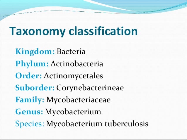 Mycobacterium tuberculosis