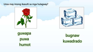 Unsa may imong ikasulti sa mga hulagway?
guwapa
puwa
humot
bugnaw
kuwadrado
 