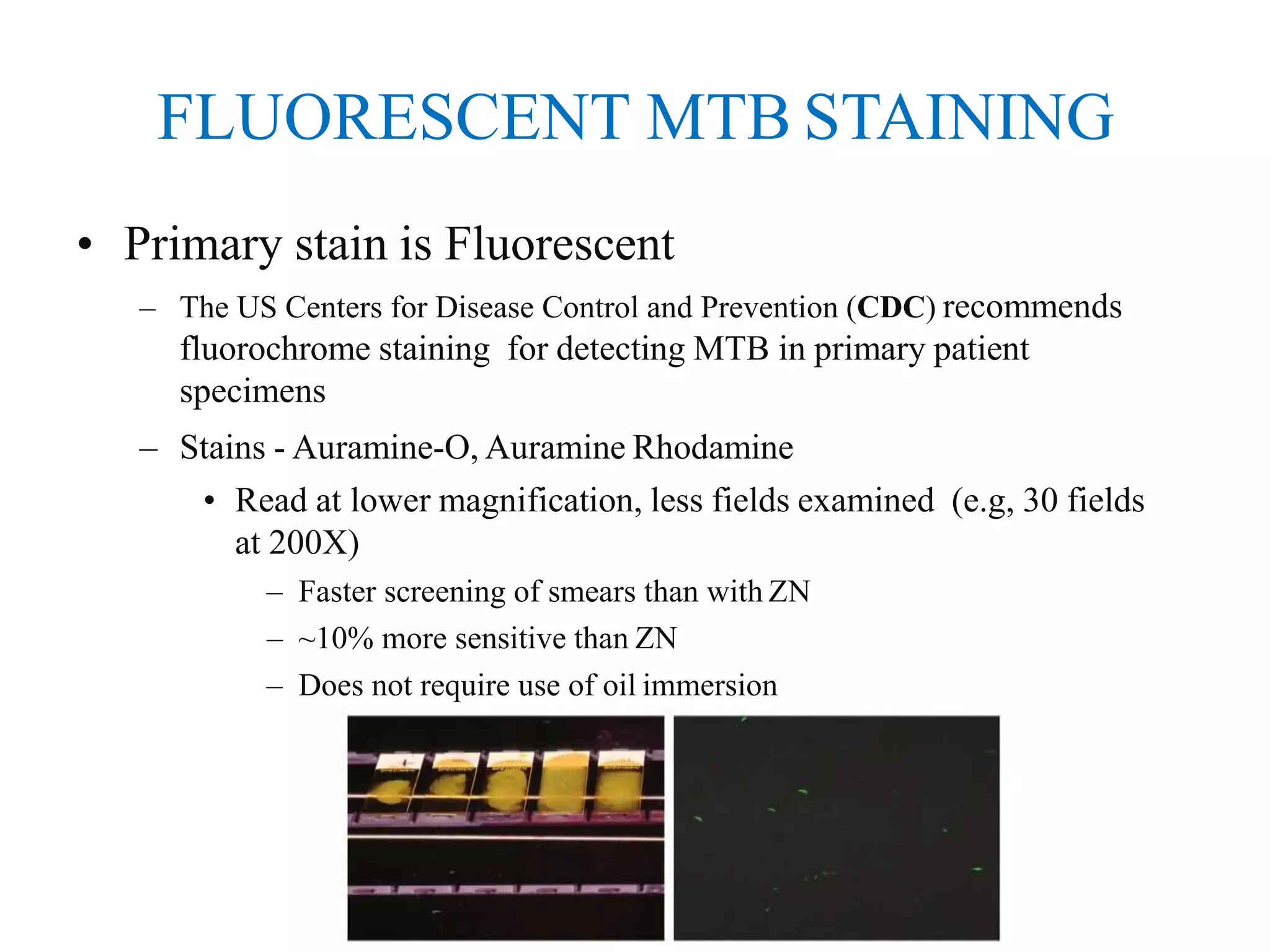 FLUORESCENT MTB STAINING
• Primary stain is Fluorescent
– The US Centers for Disease Control and Prevention (CDC) recommends
fluorochrome staining for detecting MTB in primary patient
specimens
– Stains - Auramine-O, Auramine Rhodamine
• Read at lower magnification, less fields examined (e.g, 30 fields
at 200X)
– Faster screening of smears than with ZN
– ~10% more sensitive than ZN
– Does not require use of oil immersion
 